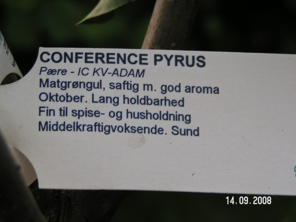 Conference plante info