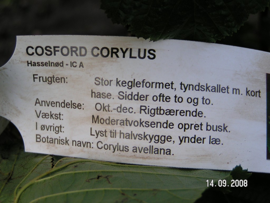 Cosford plante info