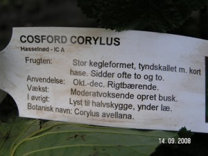 Cosford plante info