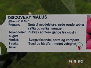 Discovery plante info