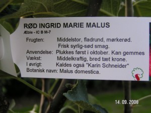 Rød Ingrid Marie info